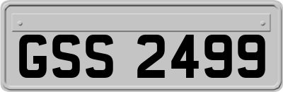 GSS2499