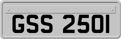 GSS2501
