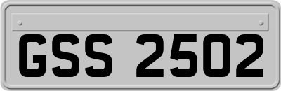 GSS2502
