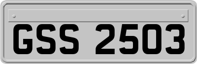 GSS2503