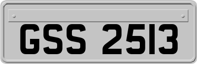 GSS2513