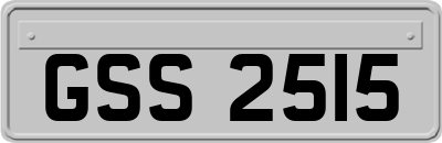 GSS2515