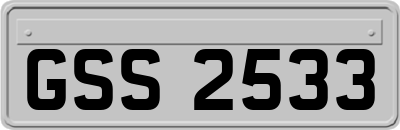 GSS2533