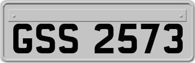 GSS2573