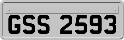 GSS2593