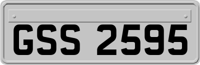 GSS2595