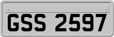GSS2597
