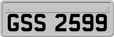 GSS2599
