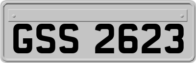 GSS2623