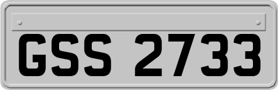GSS2733