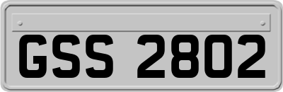 GSS2802