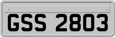GSS2803