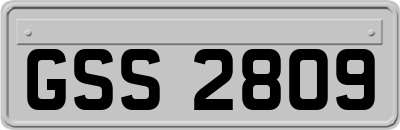 GSS2809