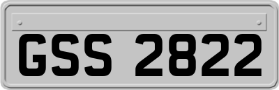 GSS2822
