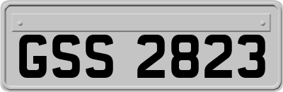 GSS2823
