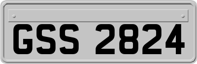 GSS2824