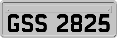 GSS2825