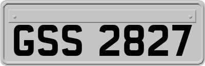 GSS2827