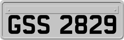 GSS2829