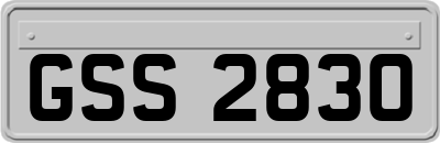 GSS2830