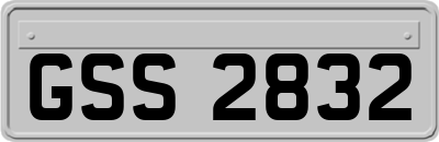 GSS2832