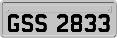 GSS2833
