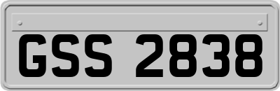 GSS2838