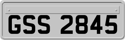 GSS2845