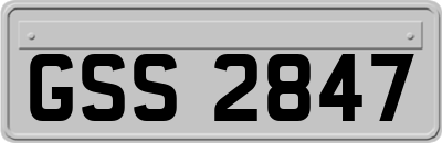 GSS2847