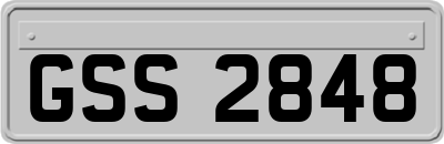GSS2848