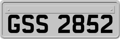GSS2852