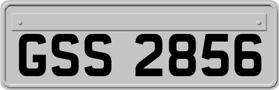 GSS2856