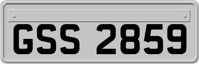 GSS2859