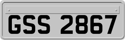 GSS2867