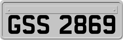 GSS2869