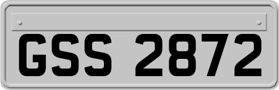 GSS2872