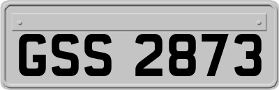 GSS2873