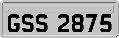 GSS2875