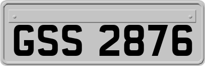 GSS2876