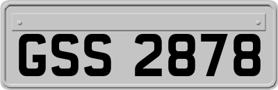 GSS2878