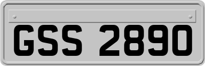 GSS2890