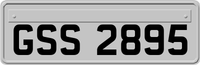 GSS2895