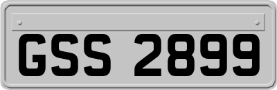 GSS2899