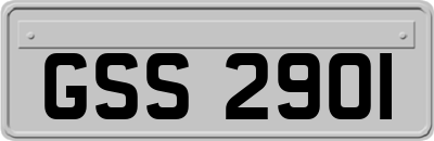 GSS2901