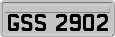 GSS2902