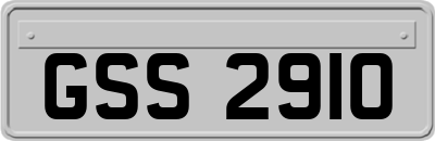 GSS2910