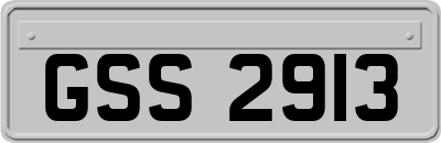GSS2913