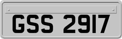 GSS2917