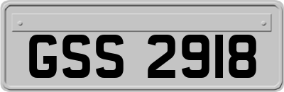 GSS2918