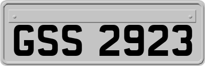 GSS2923